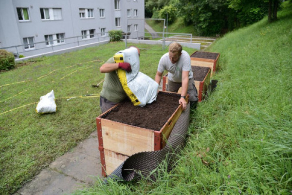 Projekt Hochbeete in Amriswil